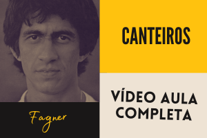 Canteiros – música e letra de Fagner